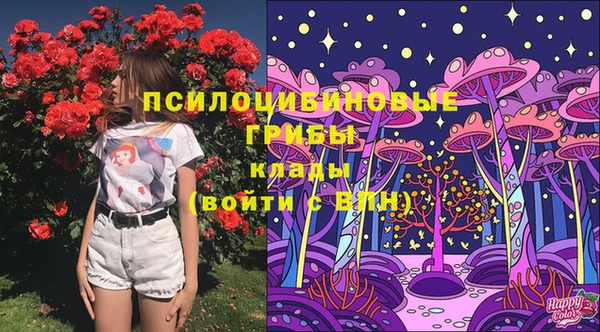 СК Богданович