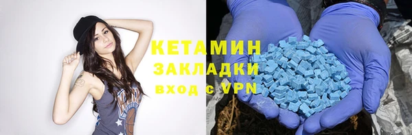 индика Бронницы