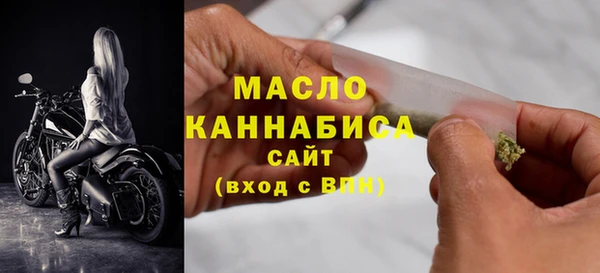 индика Бородино