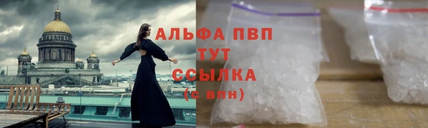 индика Бронницы