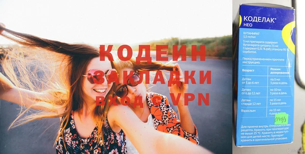 индика Бородино