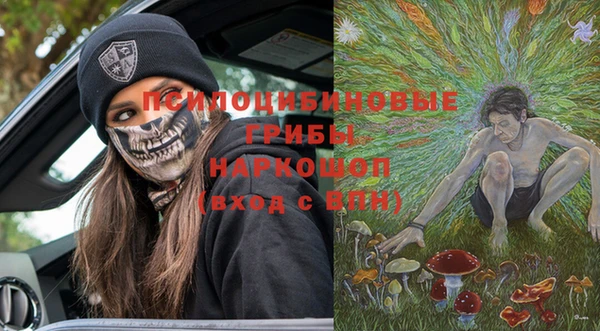 синтетический гашиш Богородицк