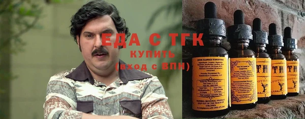 индика Бородино
