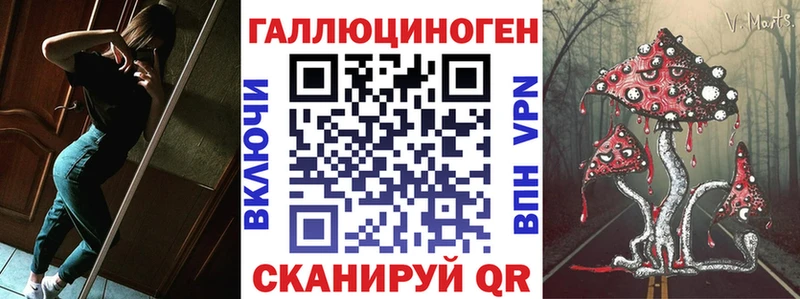где купить наркоту  Киренск  OMG ССЫЛКА  Псилоцибиновые грибы MAGIC MUSHROOMS 
